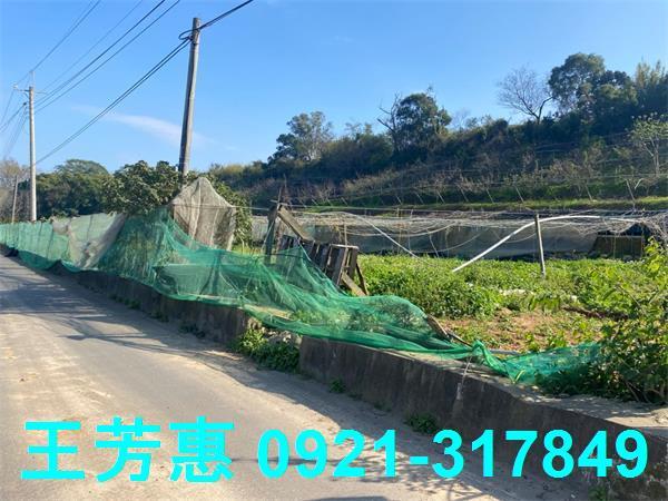 台中外埔農地-3