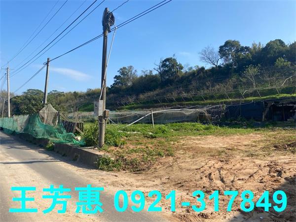 台中外埔農地-4
