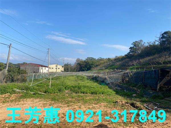 台中外埔農地-5