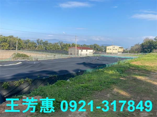 台中外埔農地-9