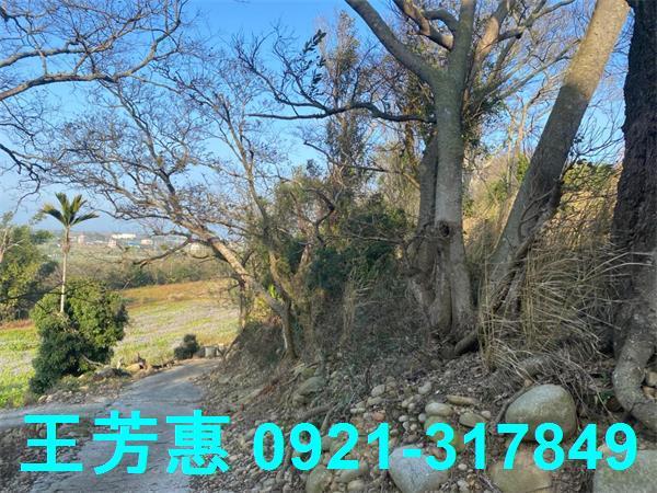 台中外埔農地-3