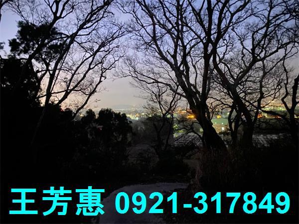 台中外埔農地-6