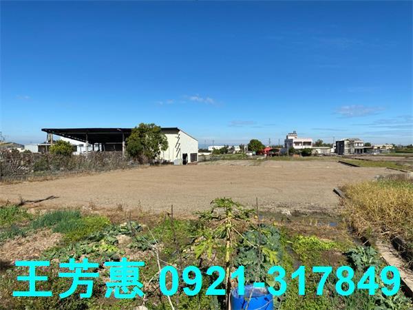 台中外埔農地-6