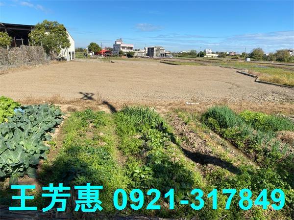 台中外埔農地-7