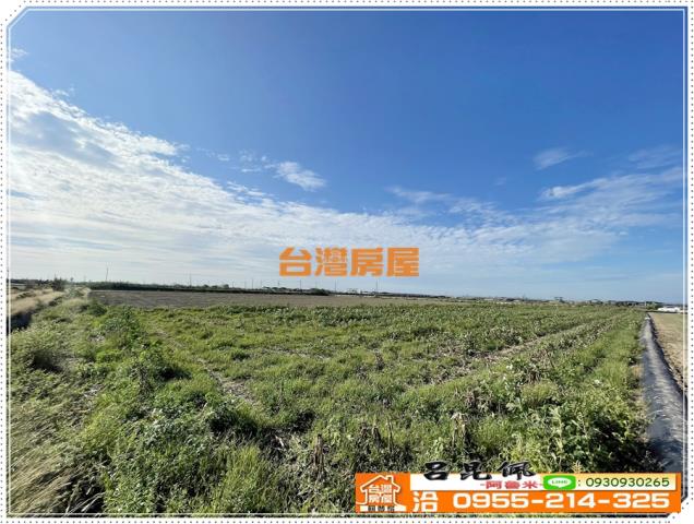 嘉義義竹農地-2