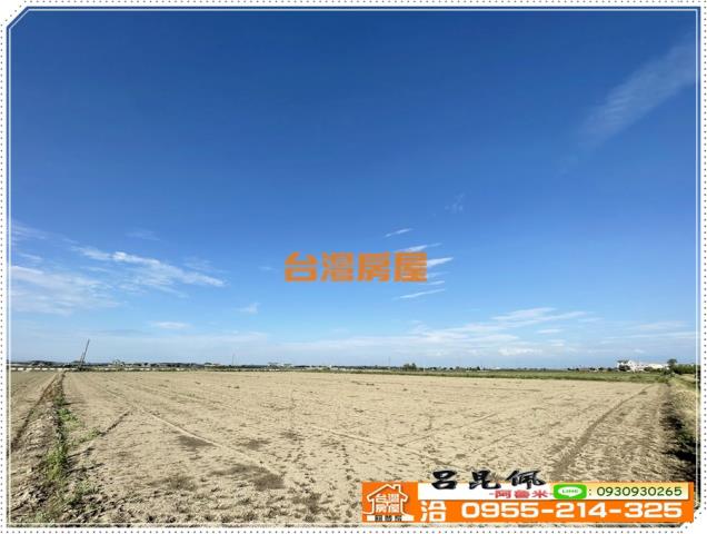 嘉義義竹農地-4