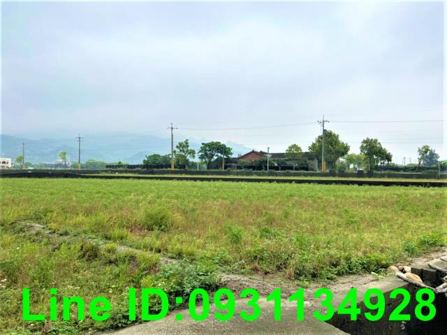 苗栗苑裡農地-3
