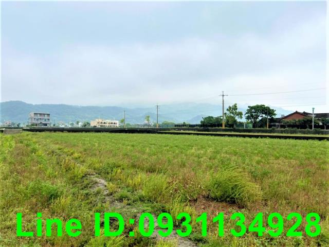 苗栗苑裡農地-4