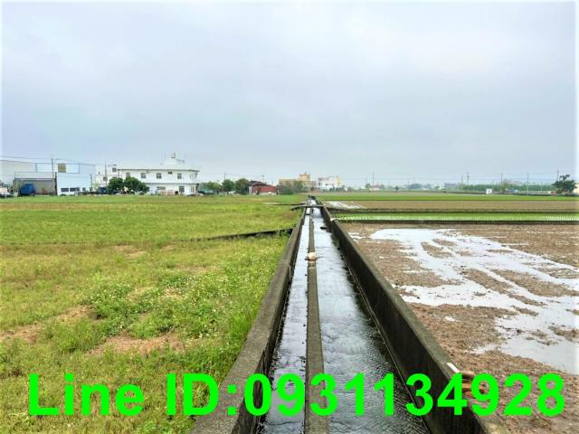 苗栗苑裡農地-7