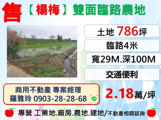 楊梅農地-1