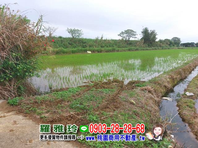 楊梅農地-2