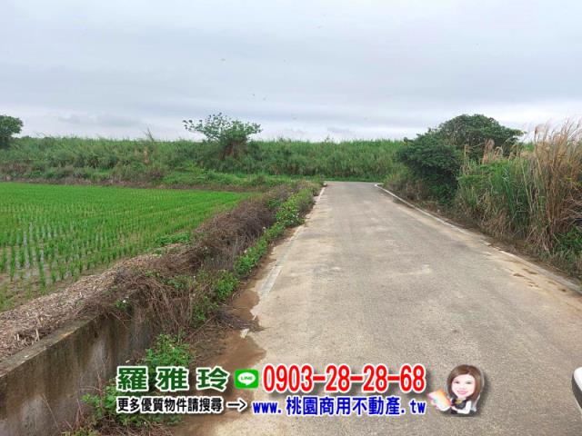 楊梅農地-3