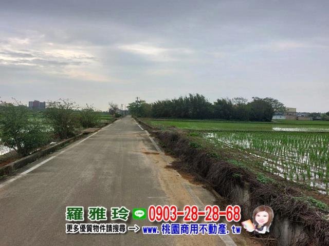 楊梅農地-4