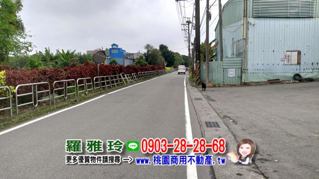桃園農地-11