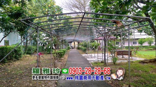 桃園農地-3