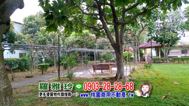 桃園農地-4
