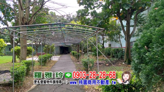 桃園農地-6
