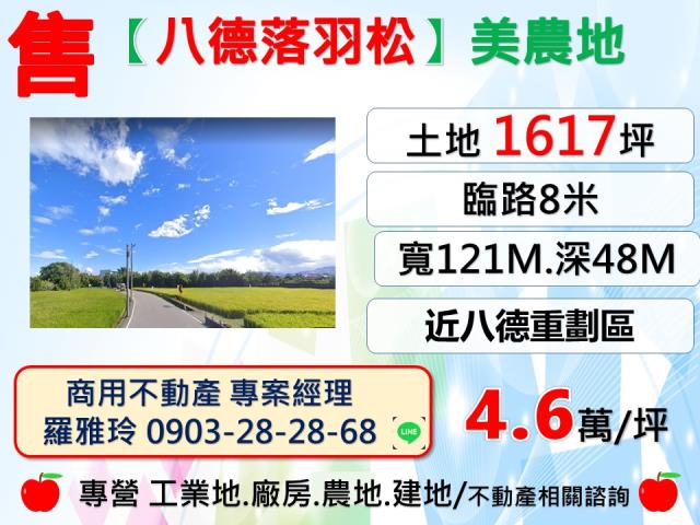 桃園八德農地-1