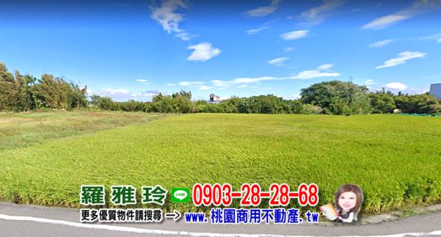 桃園八德農地-3