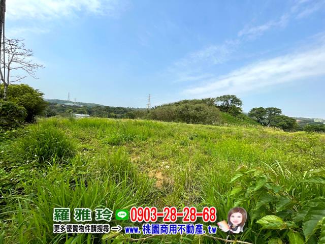 桃園平鎮農地-5