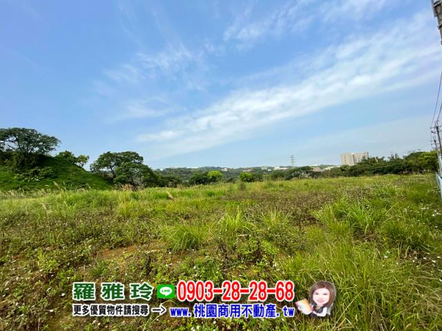 桃園平鎮農地-6