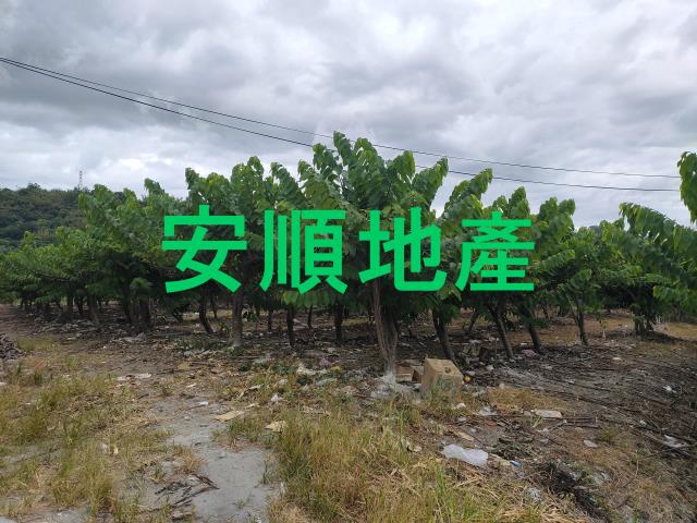 台東卑南農地-1