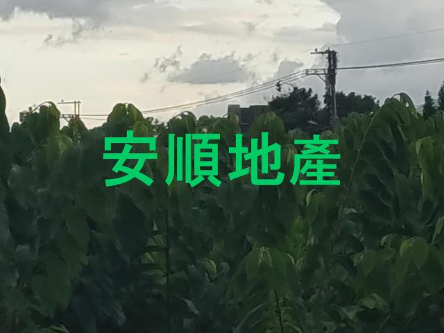 台東卑南農地-6