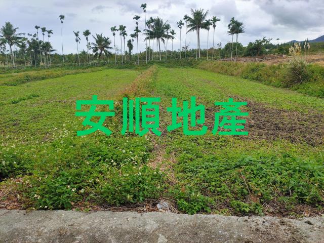 東河農地-12