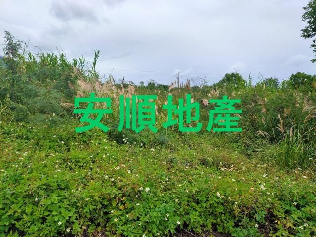 東河農地-2