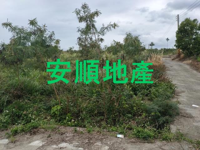 東河農地-5