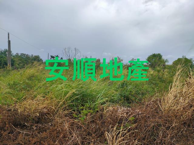 東河農地-6
