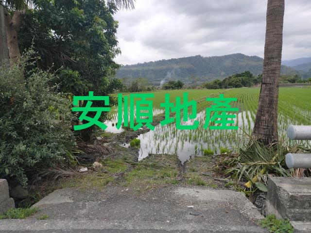 台東鹿野農地-6