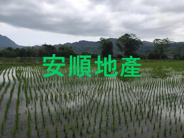 台東鹿野農地-8