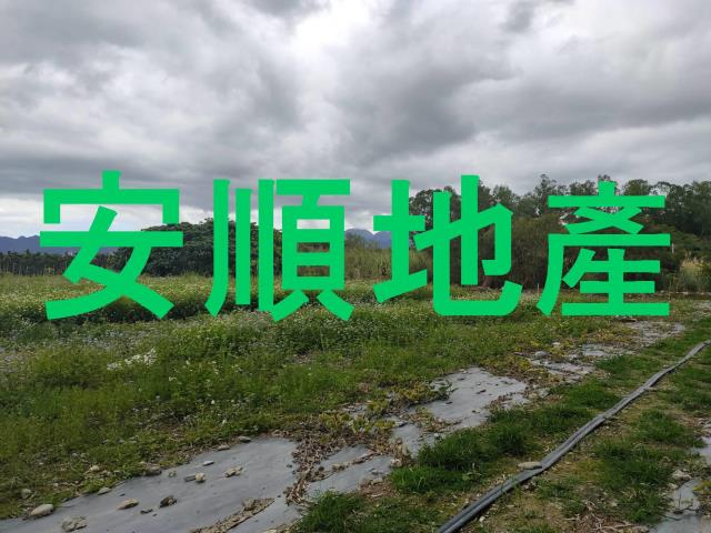 台東鹿野農地-7