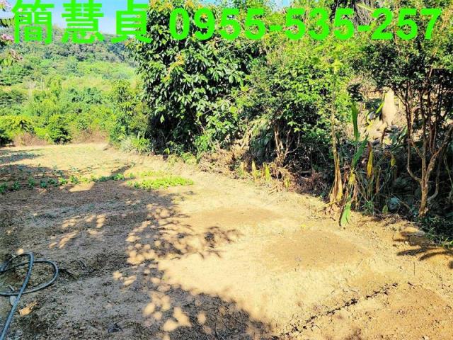 南投草屯農地-2