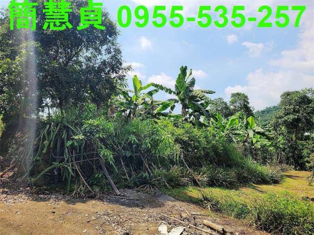 南投草屯農地-3
