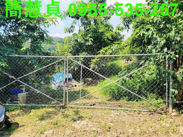 南投草屯農地-5