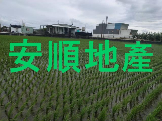 台東台東市農地-3