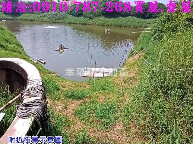 台南麻豆養殖地-3