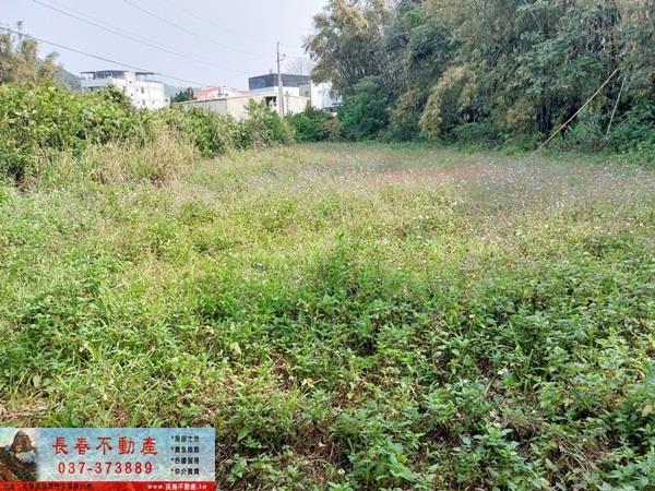 造橋農地-1