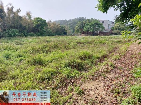 造橋農地-2
