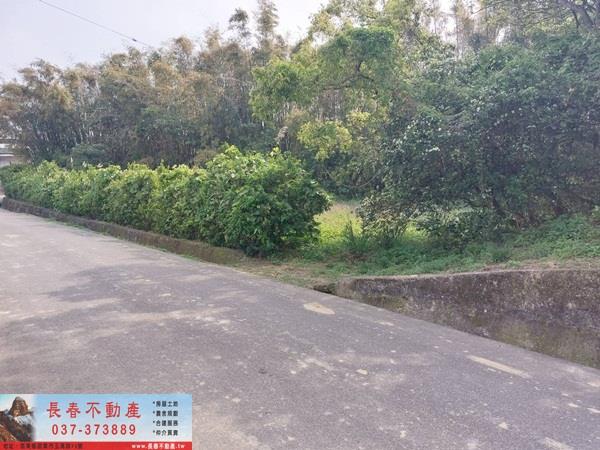 造橋農地-5