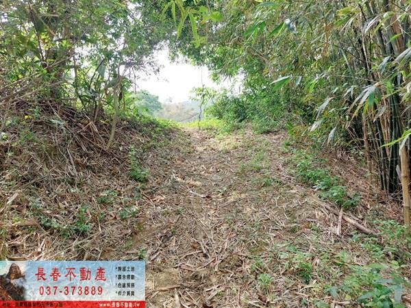 造橋農地-6