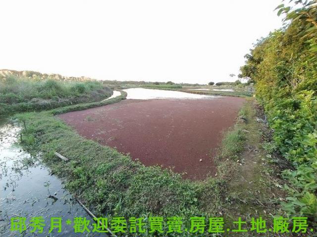 新北農地-4