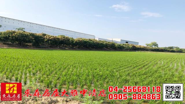 大雅農地-3