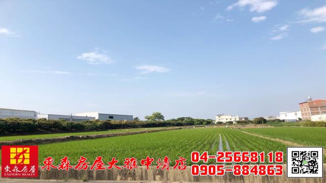 大雅農地-5