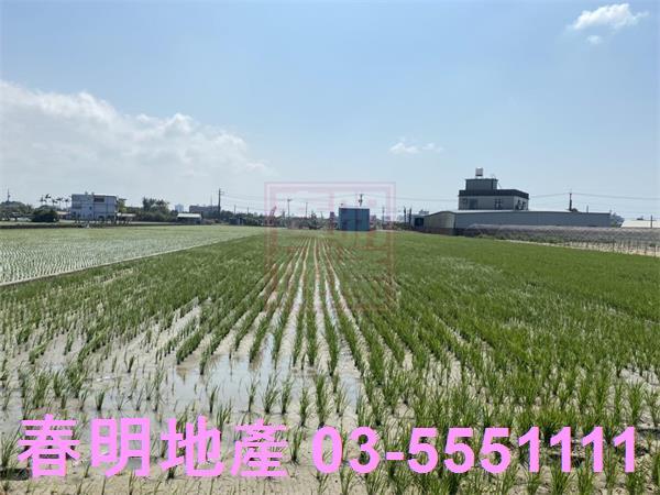新竹竹北農地-3