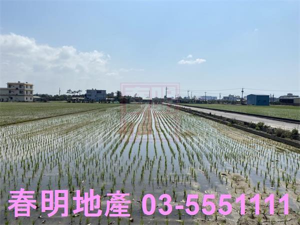 新竹竹北農地-4