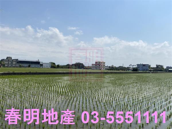 新竹竹北農地-5
