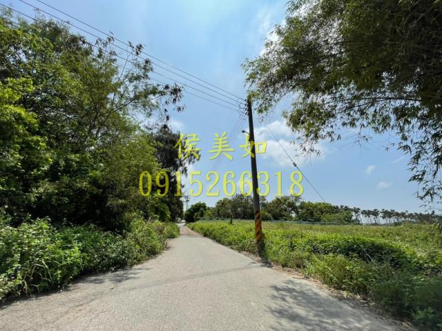 六腳農地-6